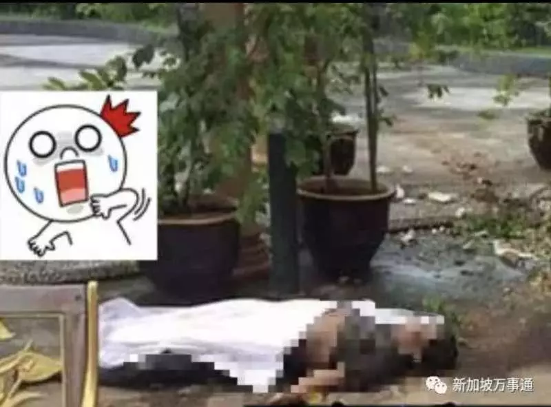 【新加坡】 偷拍女室友洗澡被揭穿 當場對峙時大馬男墜樓死 !
