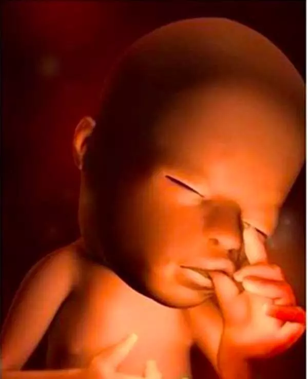 在媽媽肚子裡,寶寶每週的變化讓人感動!這些珍貴的畫麵,女人該看,男人更該看!