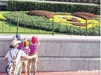 李澤楷雙胞胎兒子殘障,梁洛施兒子腦癱遭嫌棄