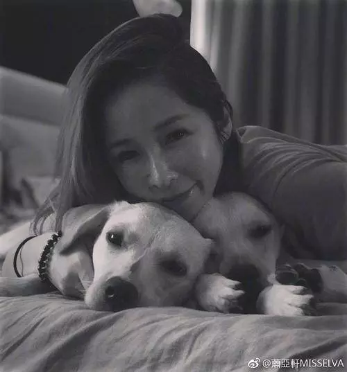 驚聞蕭亞軒身染重病消失近三個月，經紀人已證實，網友：早晚的事