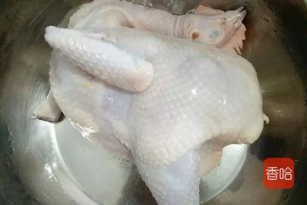 只需要一個電飯煲,不加水不加油,香噴噴的雞肉就好了
