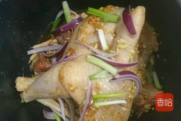 只需要一個電飯煲,不加水不加油,香噴噴的雞肉就好了