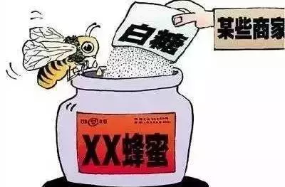 良心記者揭露蜂蜜市場驚天騙局!親赴深山,發現土蜂蜜驚人真相!