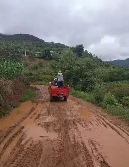良心記者揭露蜂蜜市場驚天騙局!親赴深山,發現土蜂蜜驚人真相!