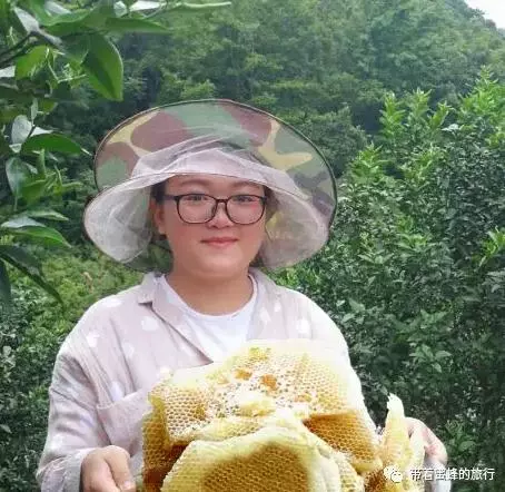 良心記者揭露蜂蜜市場驚天騙局!親赴深山,發現土蜂蜜驚人真相!