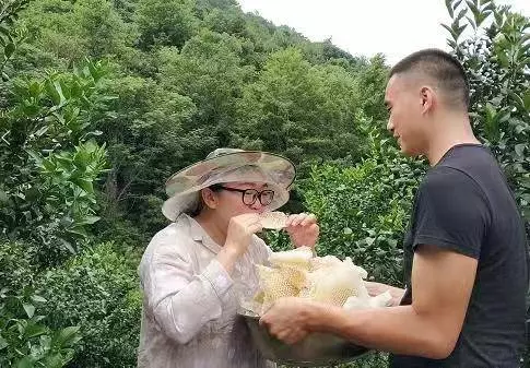 良心記者揭露蜂蜜市場驚天騙局!親赴深山,發現土蜂蜜驚人真相!