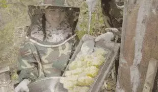 良心記者揭露蜂蜜市場驚天騙局!親赴深山,發現土蜂蜜驚人真相!