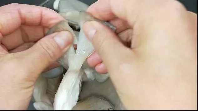 手把手教你炸蘑菇,金黃酥脆,不油膩,比街邊賣的好吃多了!!!