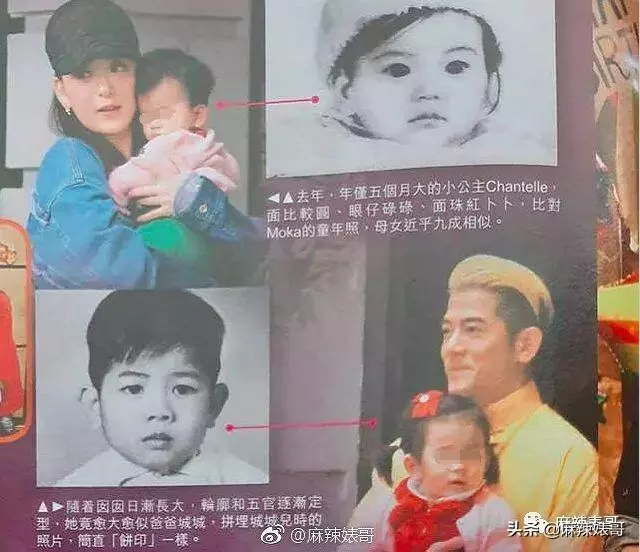 方媛懷二胎了,誰能想到「鞋子論」的郭富城能被她吃的死死的!