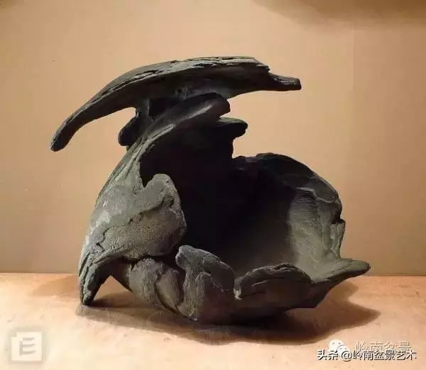 他山之石丨國外經典盆景設計製作全過程