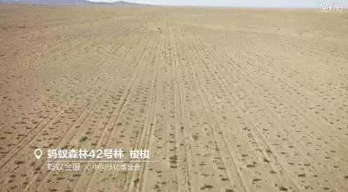 中國人把沙漠消滅了?還獲得了聯合國和美國NASA實名表揚,牛逼!