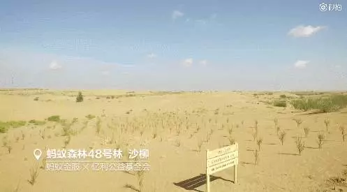 中國人把沙漠消滅了?還獲得了聯合國和美國NASA實名表揚,牛逼!