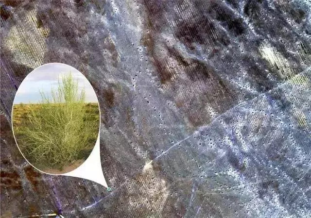 中國人把沙漠消滅了?還獲得了聯合國和美國NASA實名表揚,牛逼!