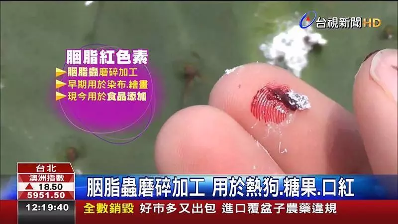 別懷疑自己的眼睛！大馬人最喜歡的7種食物，都是用蟲子做的！