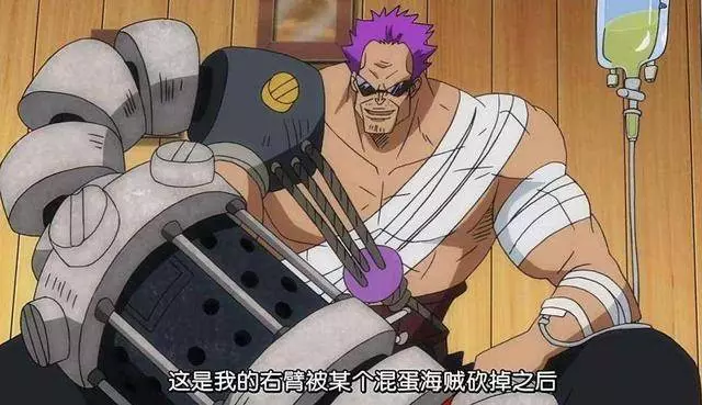 海賊王:最強的5個手臂怪人,疫災手臂能力未知,第一無視能力者