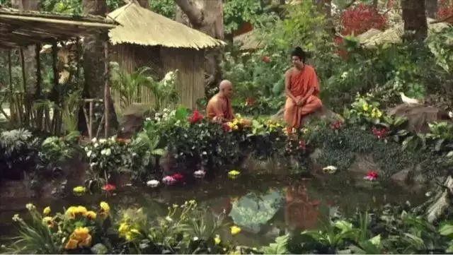 有皮膚病的必看:兩千年前佛陀開的方子,藥到病除!