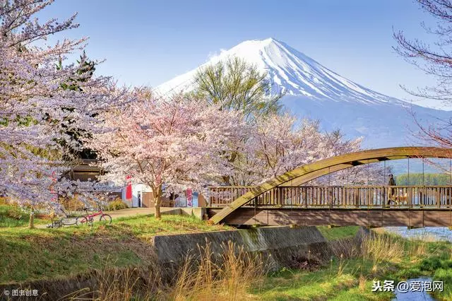 日本最美櫻花攻略,三月春光明媚,正是櫻花鬥豔時!