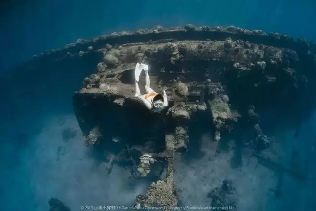 新增的帛琉浮潛景點|我們一覽小沉船!