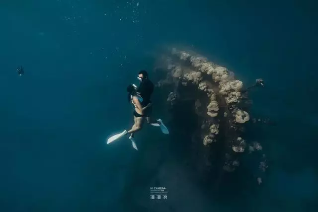 新增的帛琉浮潛景點|我們一覽小沉船!