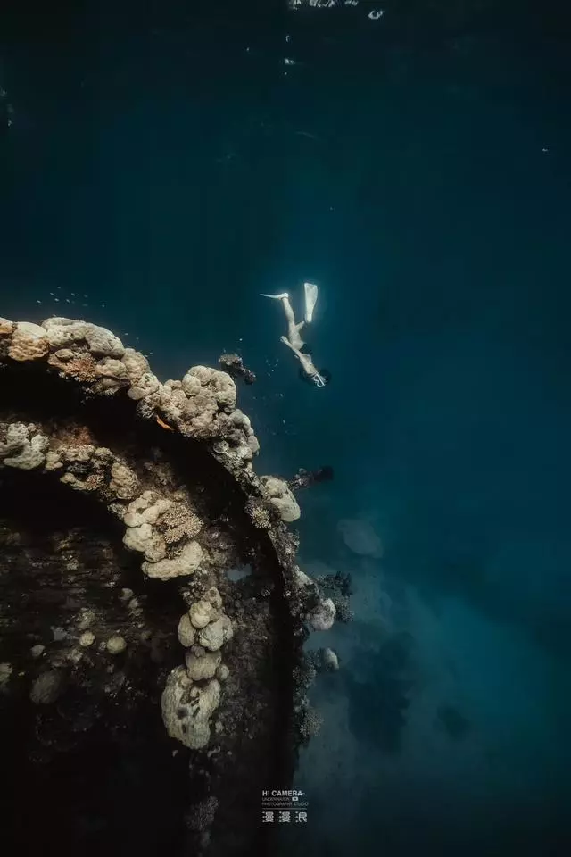 新增的帛琉浮潛景點|我們一覽小沉船!