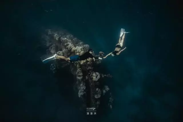 新增的帛琉浮潛景點|我們一覽小沉船!