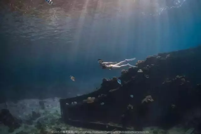 新增的帛琉浮潛景點|我們一覽小沉船!