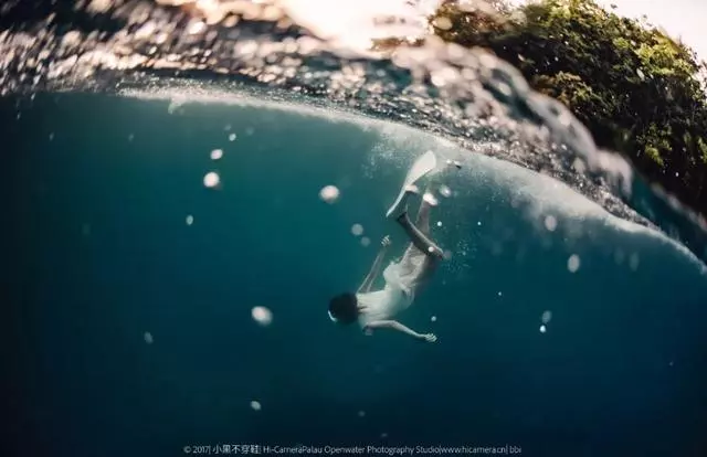 新增的帛琉浮潛景點|我們一覽小沉船!
