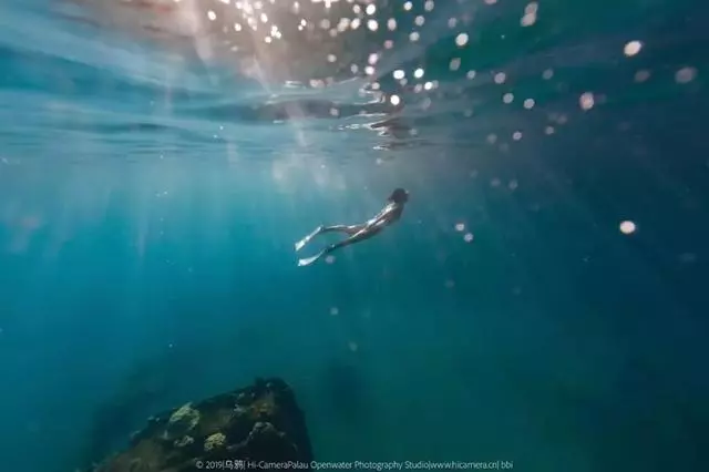 新增的帛琉浮潛景點|我們一覽小沉船!