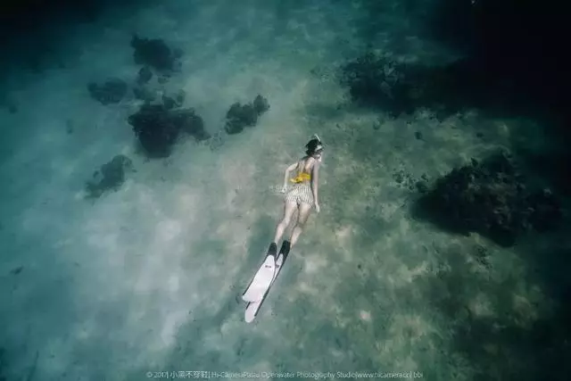 新增的帛琉浮潛景點|我們一覽小沉船!