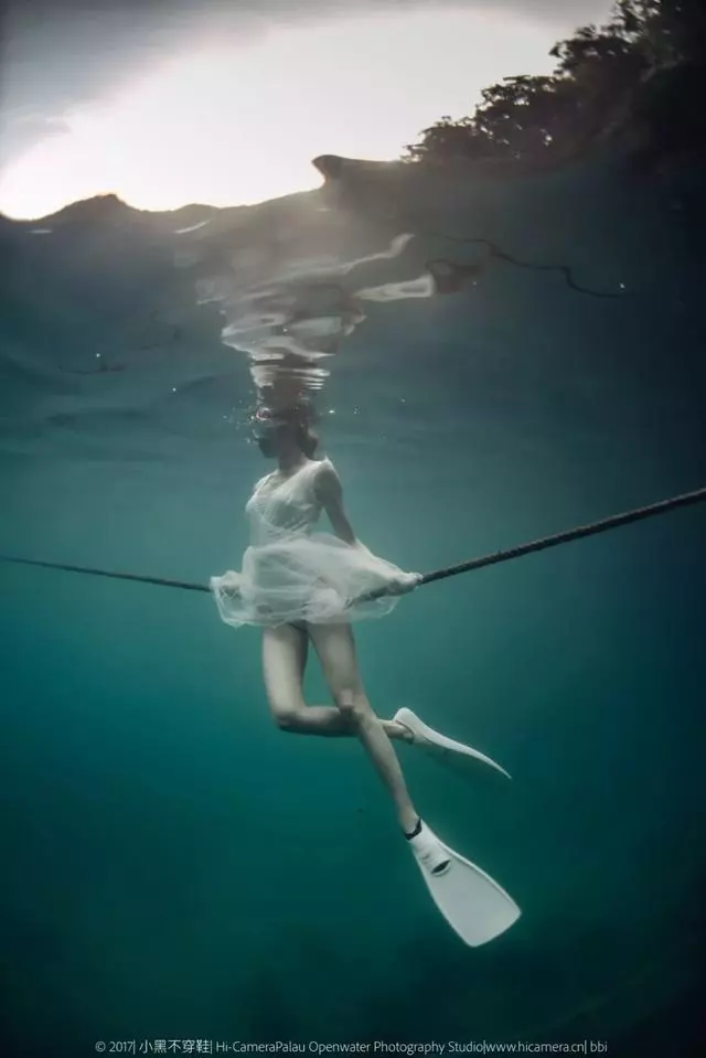 新增的帛琉浮潛景點|我們一覽小沉船!