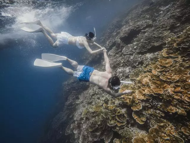 新增的帛琉浮潛景點|我們一覽小沉船!