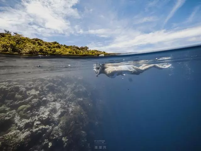 新增的帛琉浮潛景點|我們一覽小沉船!