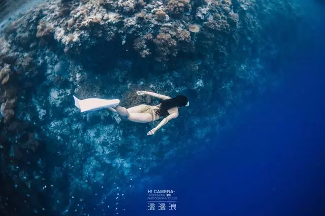 新增的帛琉浮潛景點|我們一覽小沉船!