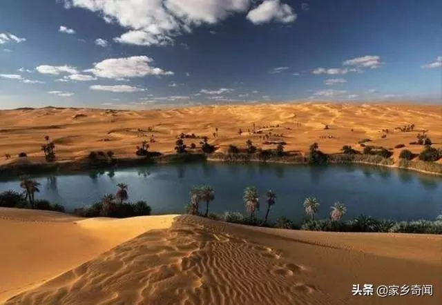 全球第一個將「消失」的沙漠,4萬平方公里成了森林,就在中國