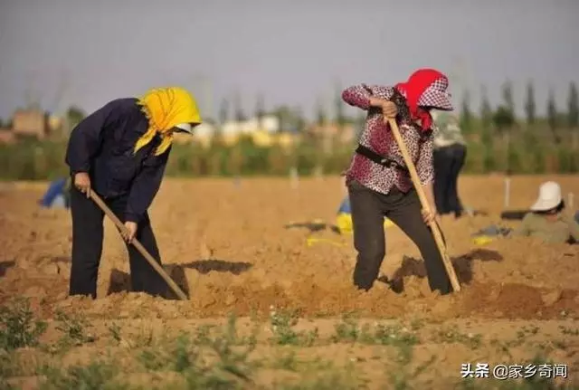 全球第一個將「消失」的沙漠,4萬平方公里成了森林,就在中國