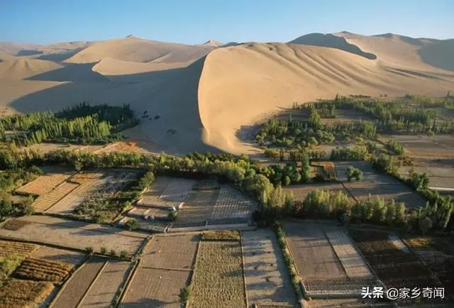 全球第一個將「消失」的沙漠,4萬平方公里成了森林,就在中國
