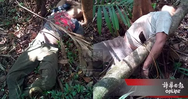 【蛇咬死2男案】生還者目睹事發經過！撥弄蛇窩招殺身之禍， 蛇群攻擊根本無法反抗！