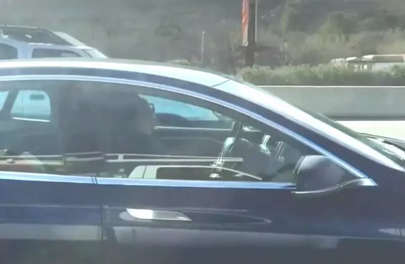 特斯拉司機熟睡　自駕系統 120Km/h狂奔
