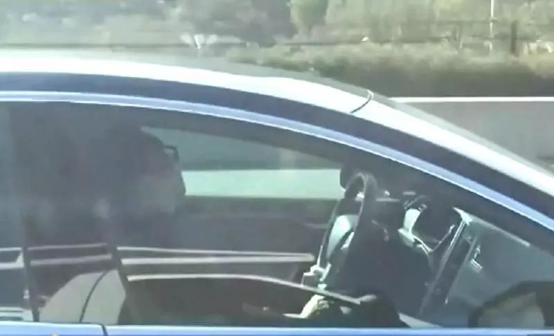 特斯拉司機熟睡　自駕系統 120Km/h狂奔
