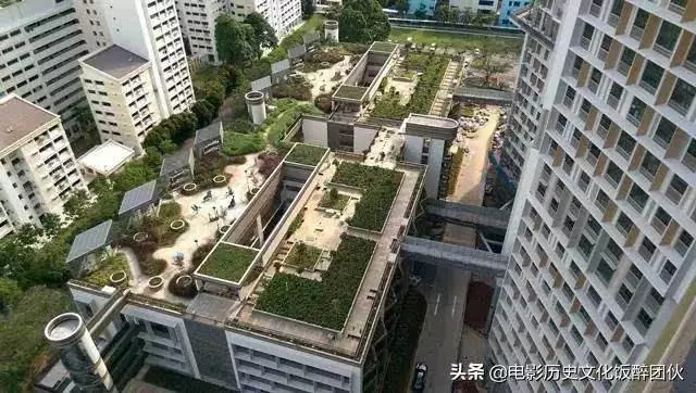 寸土寸金的新加坡人口密度是中國五十多倍，為何卻沒有房奴？