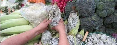 這種病菌寄生在玉米身上 老外卻把它當做美食 價格比鵝肝還貴