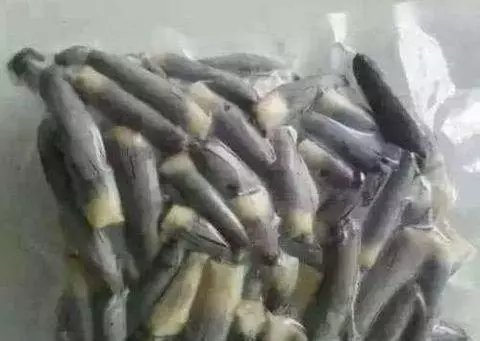 這種病菌寄生在玉米身上 老外卻把它當做美食 價格比鵝肝還貴