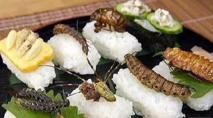 日本「最愛」4種美食,卻讓中國網友最倒胃口,網友:咋吃下去的
