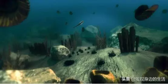 「神奇」,為何剛挖水池時間久了就會長出魚?讓科學家告訴你答案