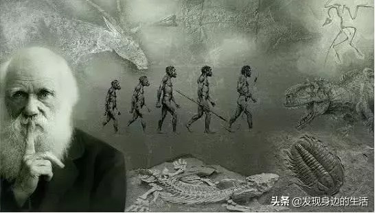 「神奇」,為何剛挖水池時間久了就會長出魚?讓科學家告訴你答案