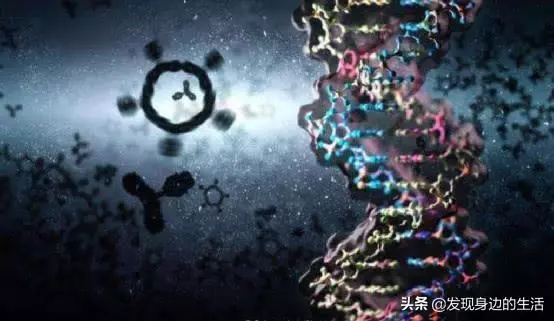 「神奇」,為何剛挖水池時間久了就會長出魚?讓科學家告訴你答案