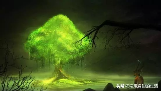 「神奇」,為何剛挖水池時間久了就會長出魚?讓科學家告訴你答案