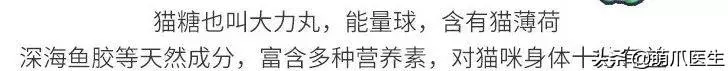 經常給寵物吃零食的注意了,這個不能再餵了!