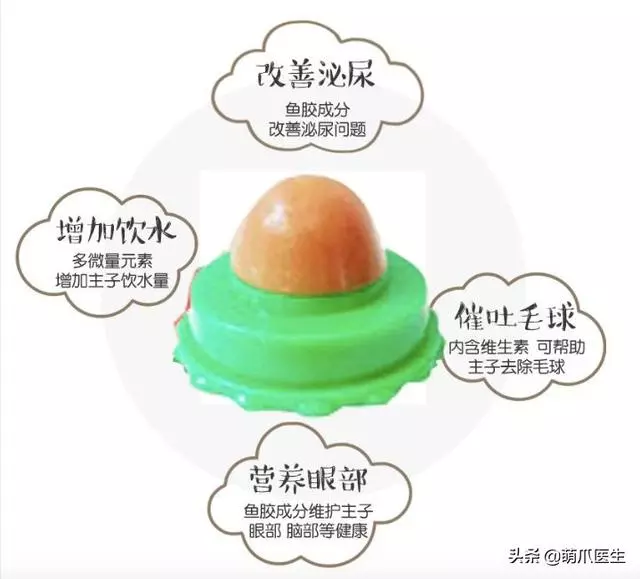 經常給寵物吃零食的注意了,這個不能再餵了!