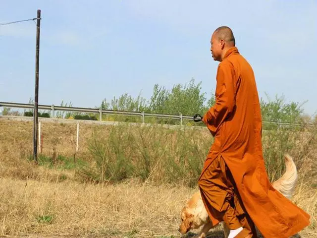 僧人救助撿到的瘸腿流浪狗,一起相依為命生活,還教導狗狗寫字